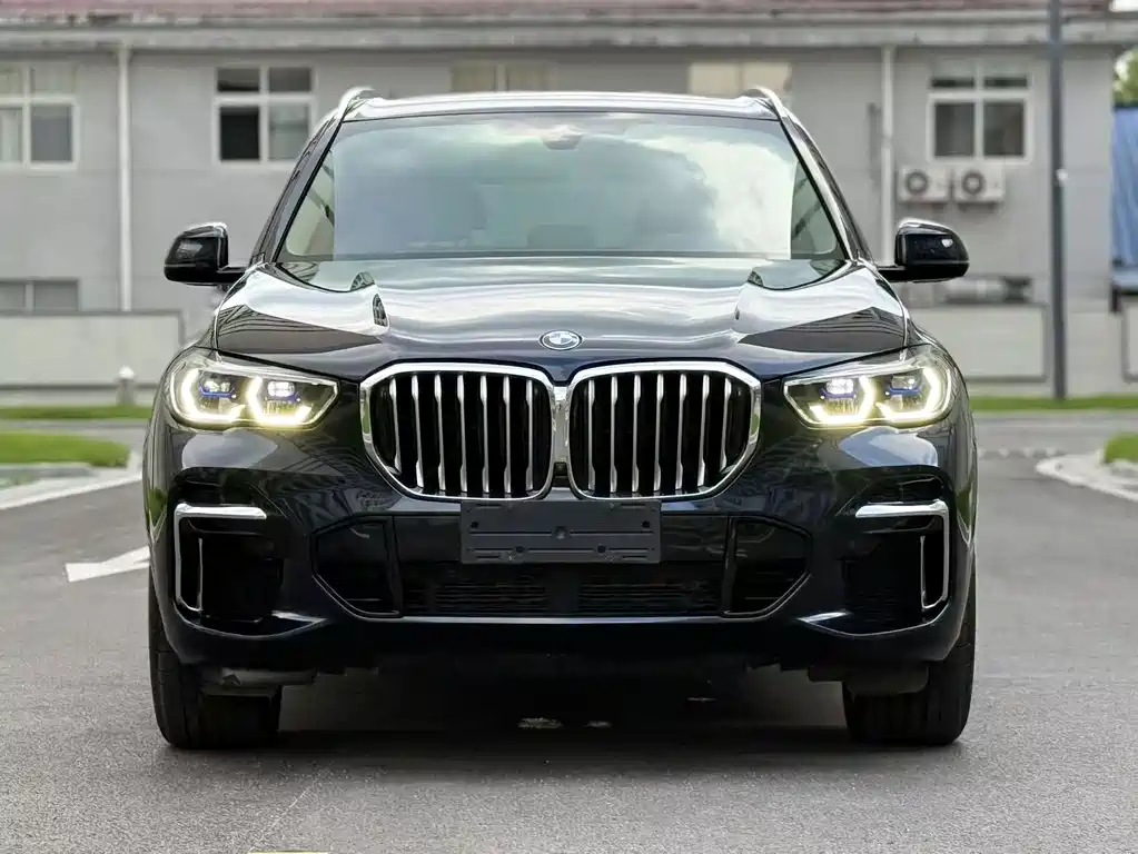 BMW X5 — миниатюра 2