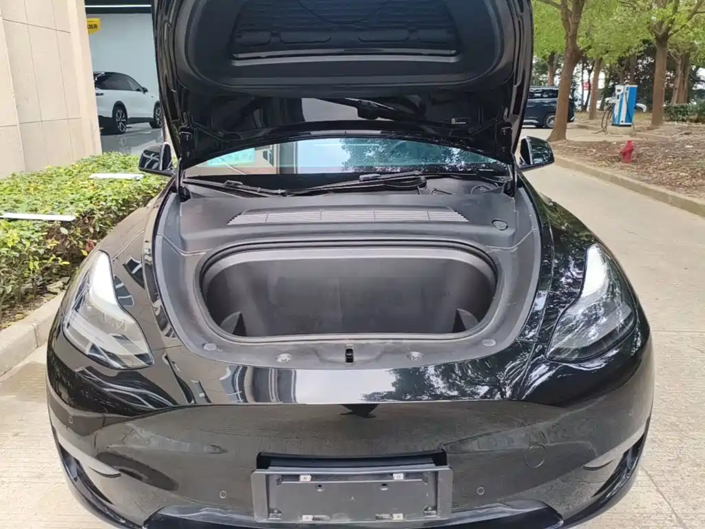 Tesla Model Y — миниатюра 20