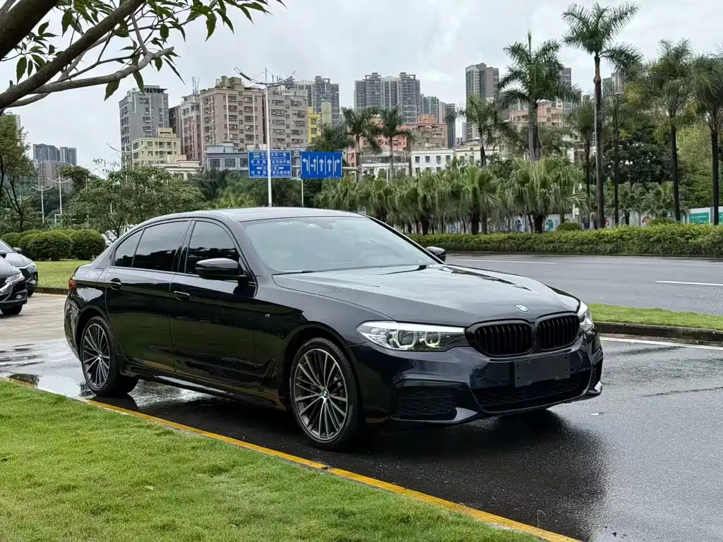BMW 5 Series 5 2019 530Li Lead M Sport