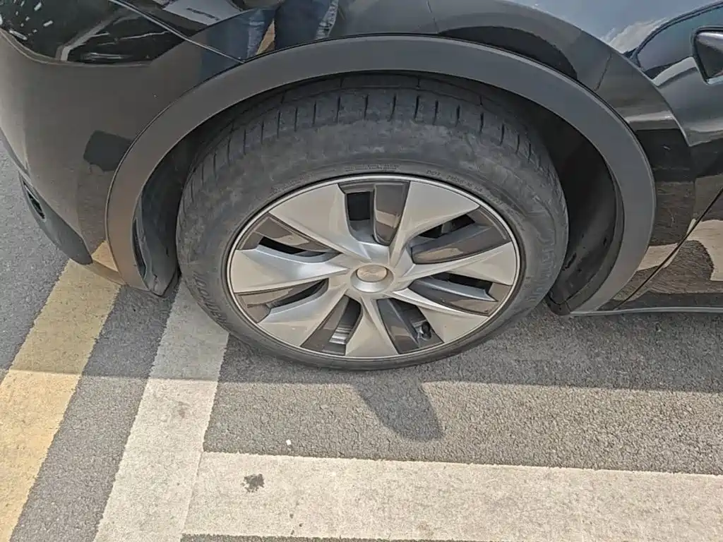 Tesla Model Y — миниатюра 25
