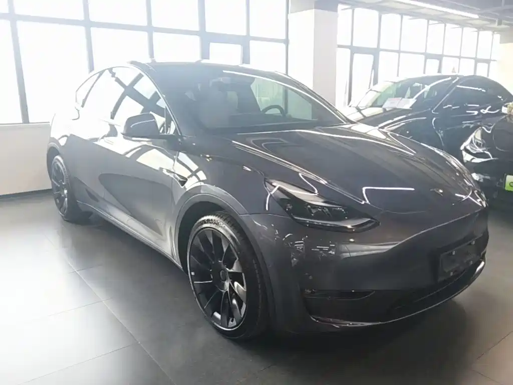Tesla Model Y — миниатюра 4