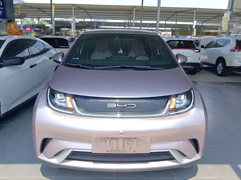 BYD Dolphin — миниатюра 3
