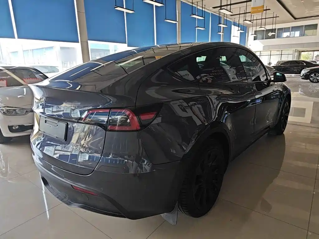 Tesla Model Y — миниатюра 7
