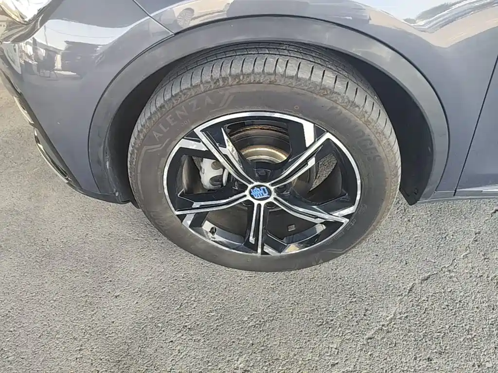 BYD Tang New Energy — миниатюра 23