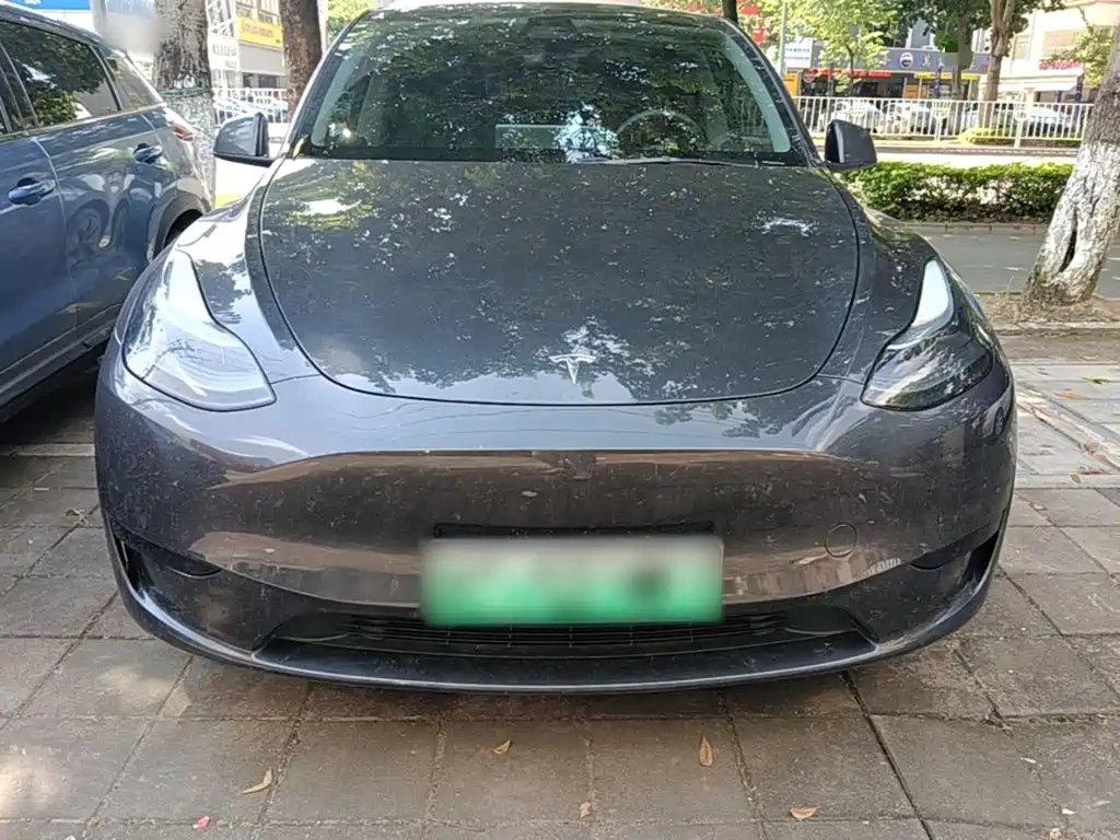Tesla Model Y — миниатюра 3