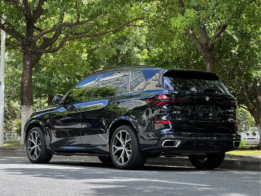 BMW X5 — миниатюра 22