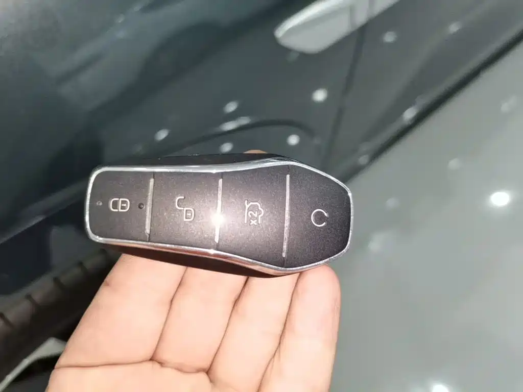 BYD Tang L L 2025 DM 175KM