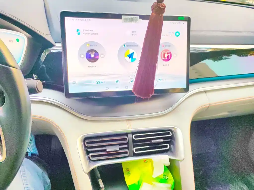 BYD PLUS New Energy — миниатюра 9