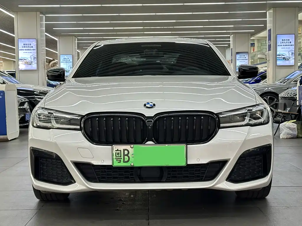 BMW 5 Series New Energy — миниатюра 2