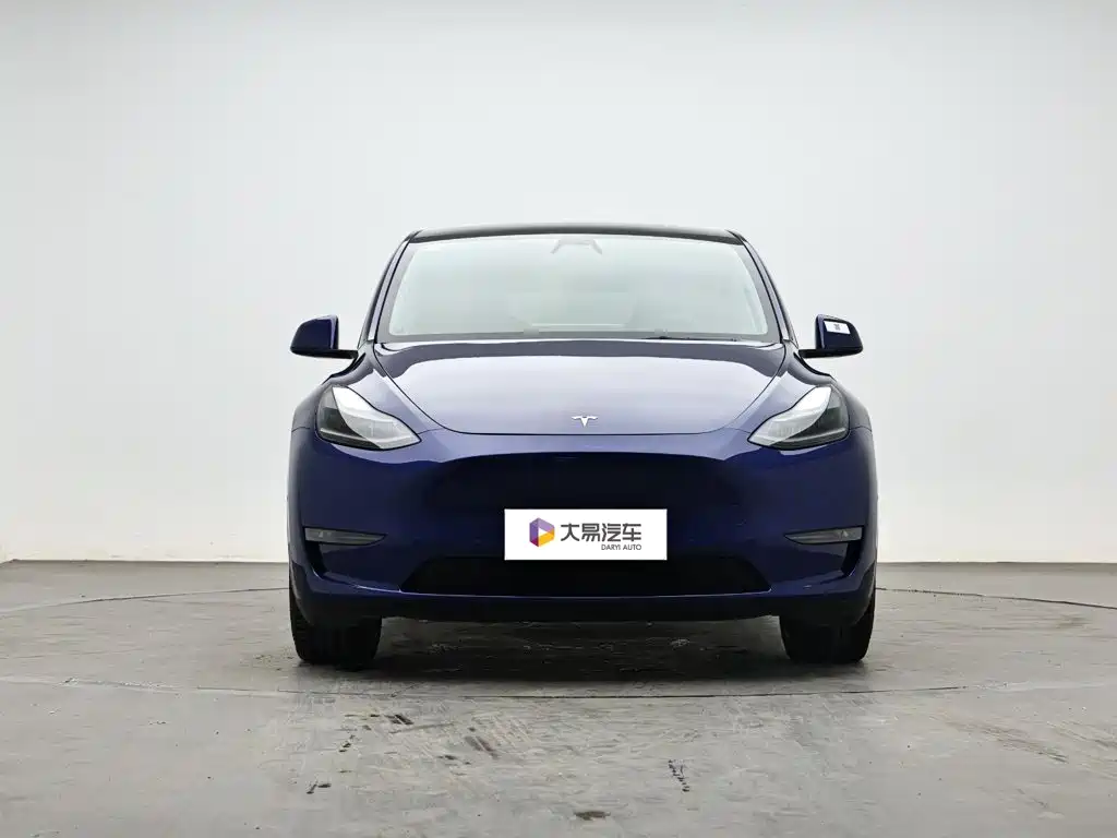 Tesla Model Y — миниатюра 2