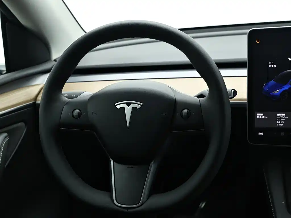 Tesla Model Y — миниатюра 16