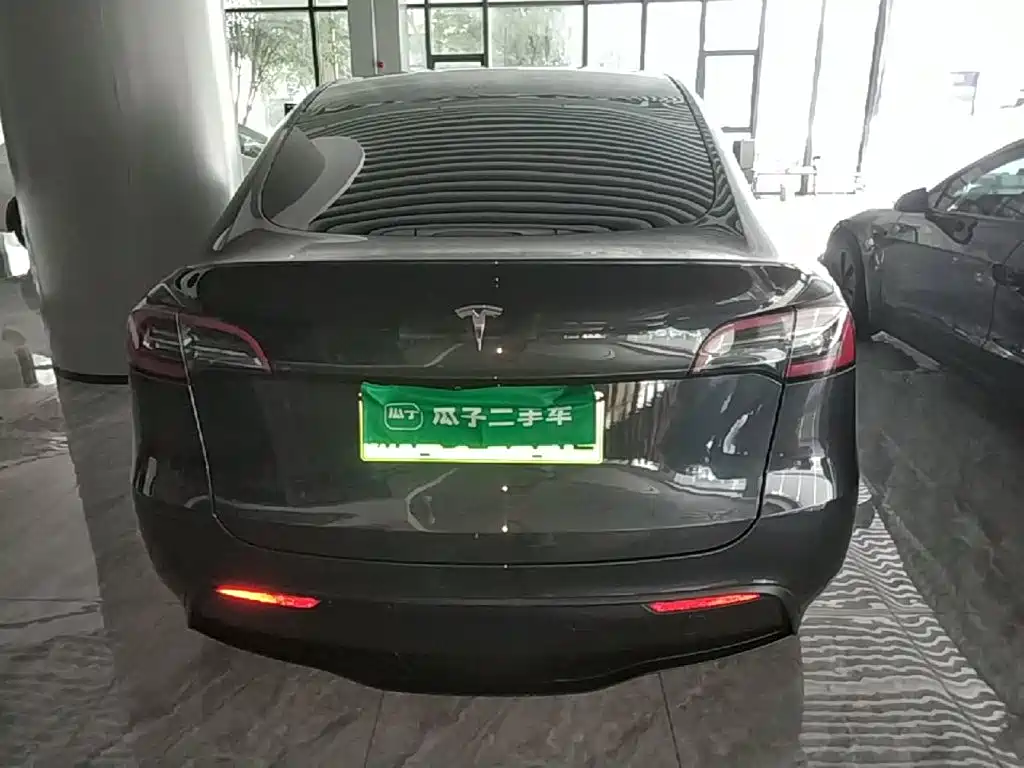Tesla Model Y — миниатюра 6