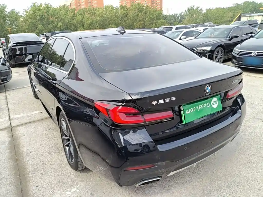 BMW 5 Series New Energy — миниатюра 5