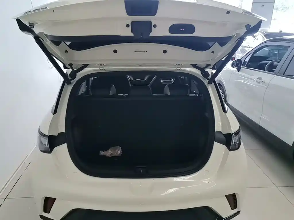 BYD Dolphin — миниатюра 19