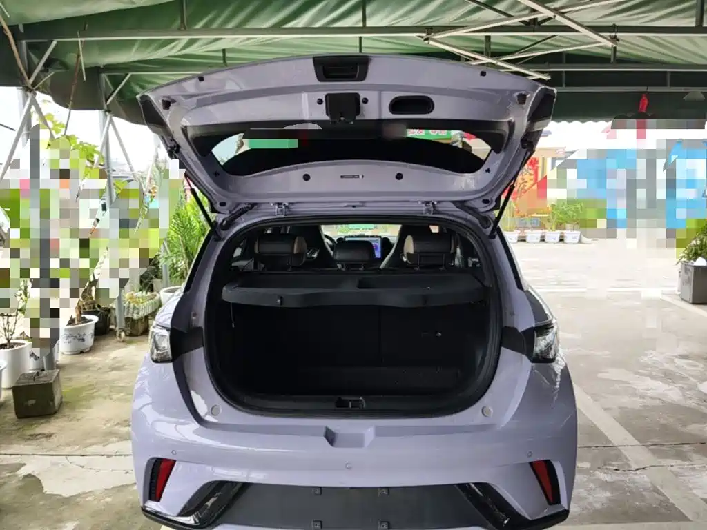 BYD Dolphin — миниатюра 19