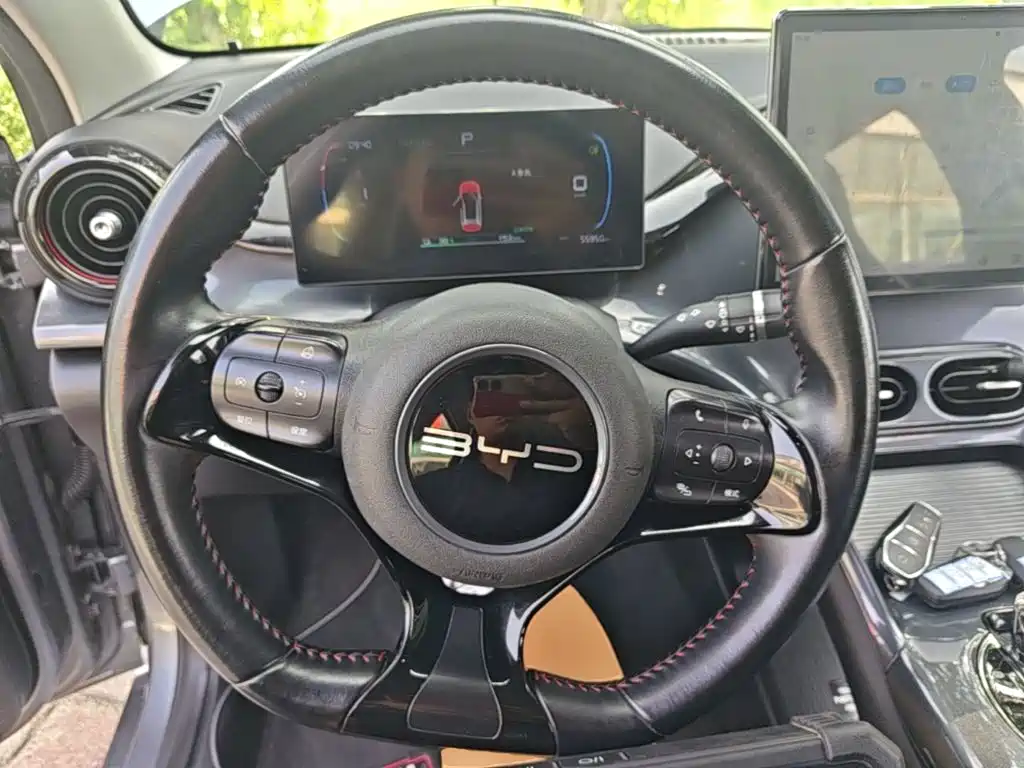 BYD e2 — миниатюра 11