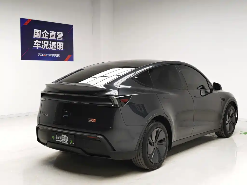 Tesla Model Y — миниатюра 4