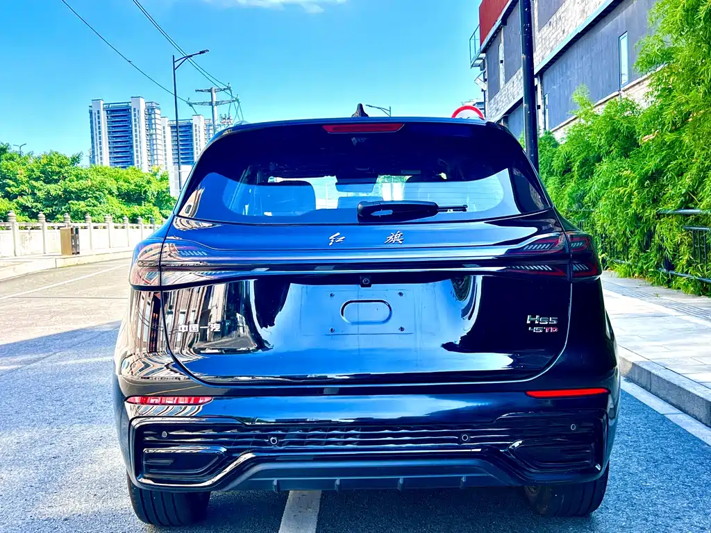 Hongqi Hongqi HS5 — миниатюра 9