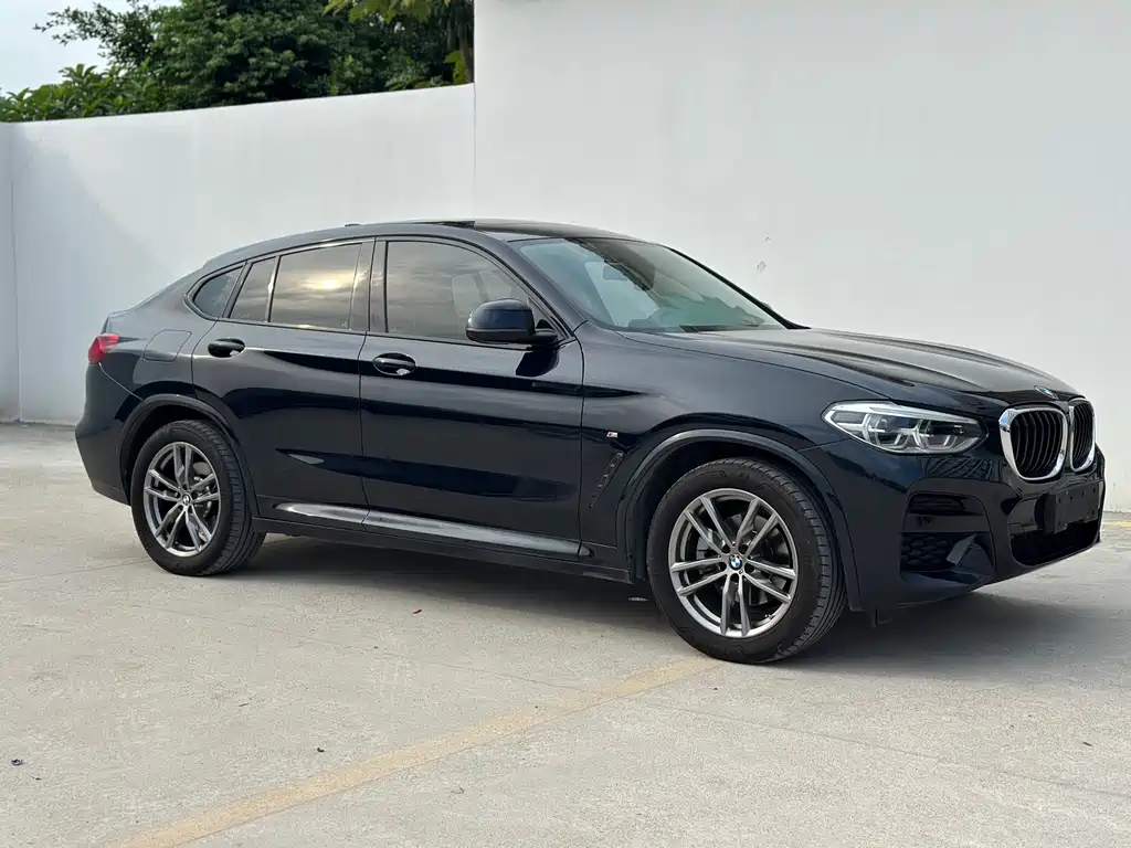 BMW X4 — миниатюра 3