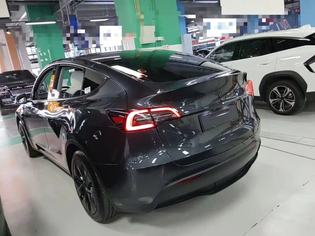 Tesla Model Y — миниатюра 5