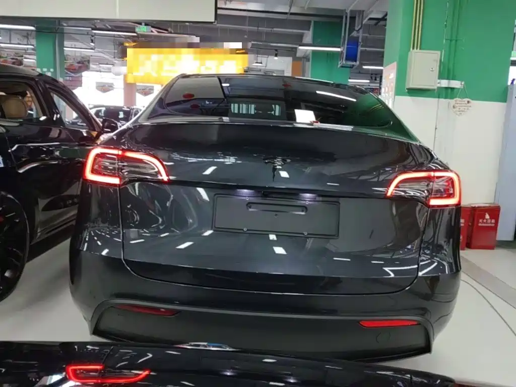 Tesla Model Y — миниатюра 6