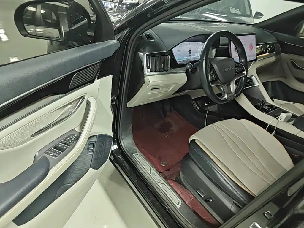 BYD PLUS New Energy — миниатюра 16