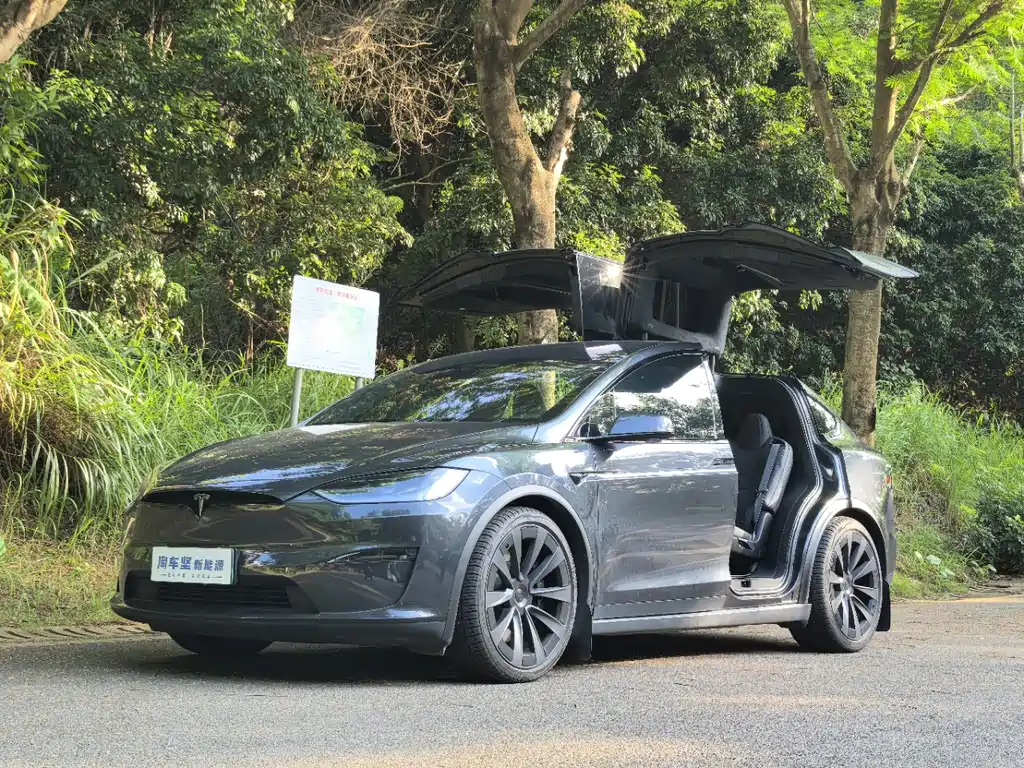2024 Tesla Model X - zdjęcie 1 z 9