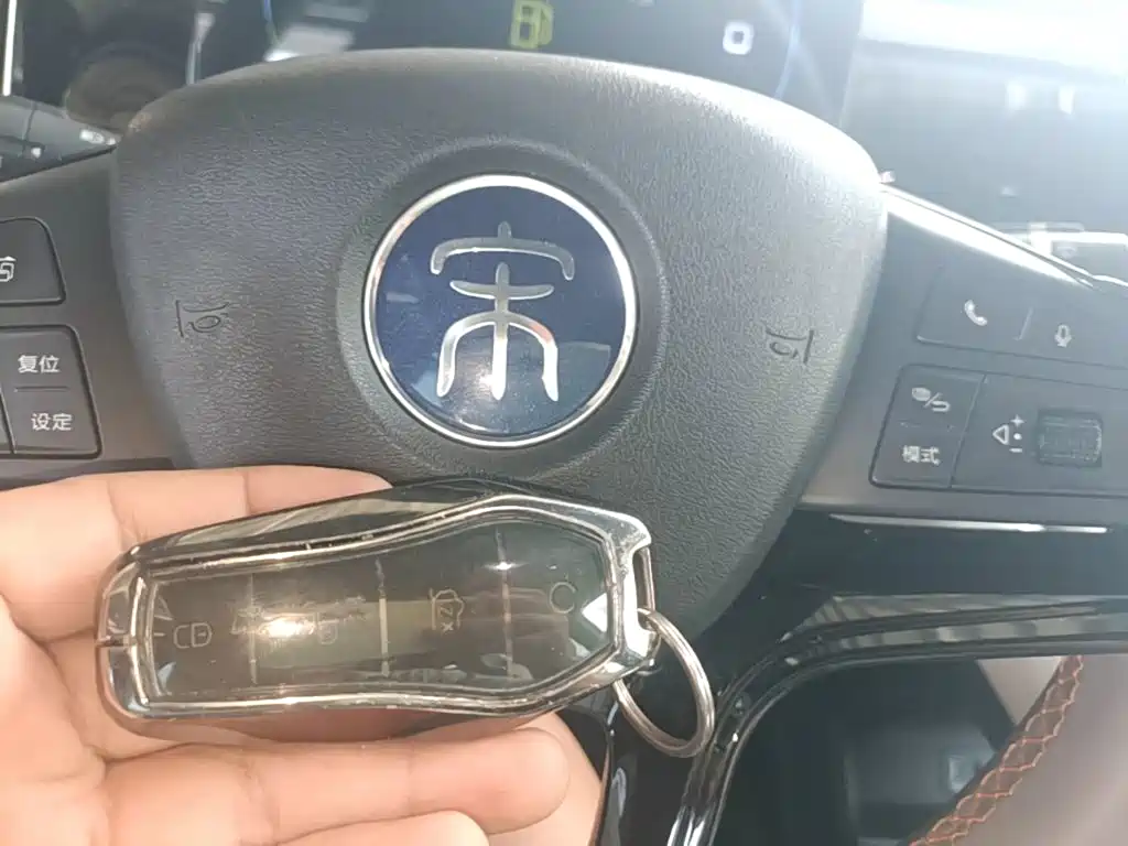 BYD Pro New Energy — миниатюра 9