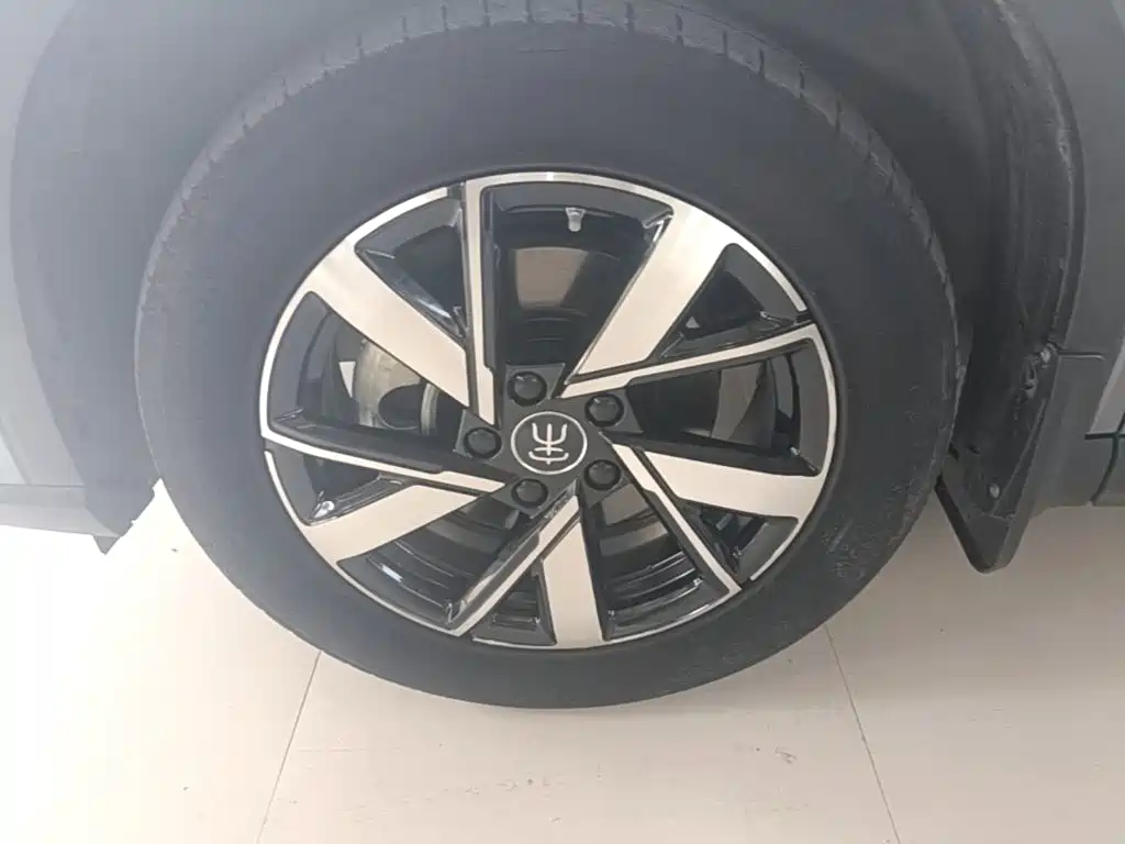 BYD Pro New Energy — миниатюра 23