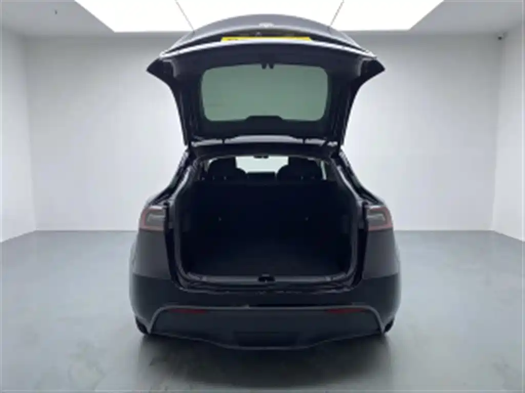 Tesla Model Y — миниатюра 10