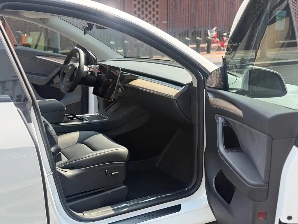 Tesla Model Y — миниатюра 7