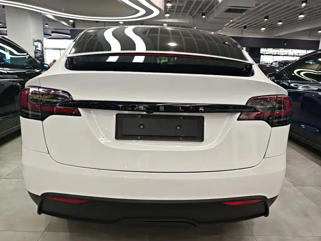 Tesla Model X — миниатюра 4