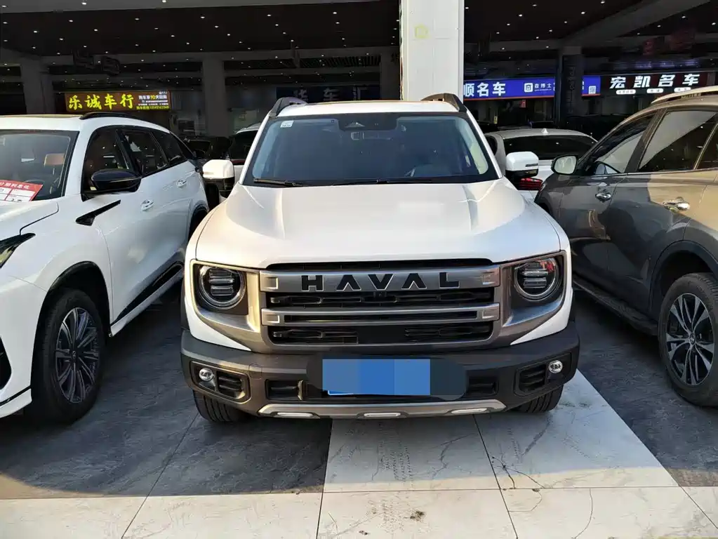 HAVAL BIG DOG
