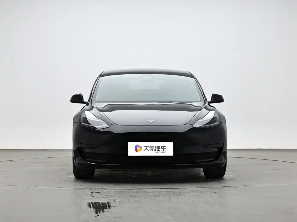 Tesla Model 3 — миниатюра 2