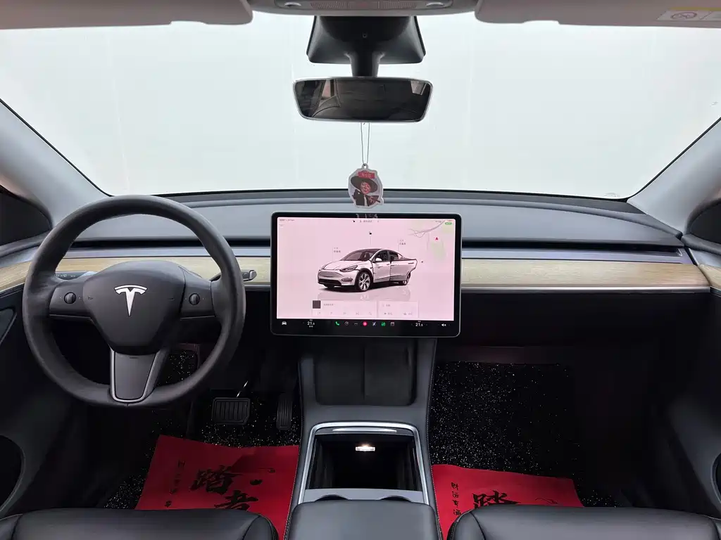 Tesla Model Y — миниатюра 21