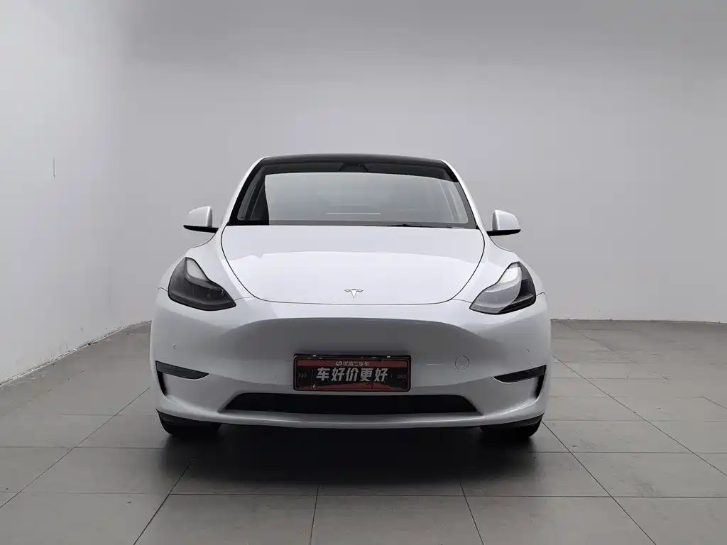 Tesla Model Y — миниатюра 3