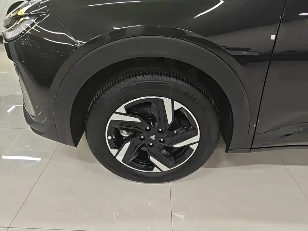 Neta Neta X — миниатюра 23