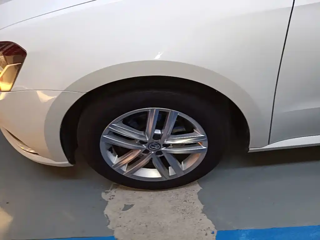 Volkswagen Gran Lavida — миниатюра 23
