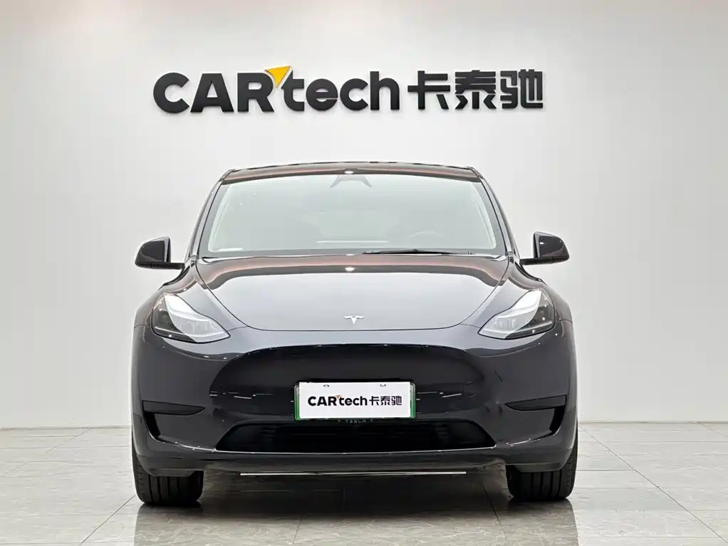 Tesla Model Y — миниатюра 7