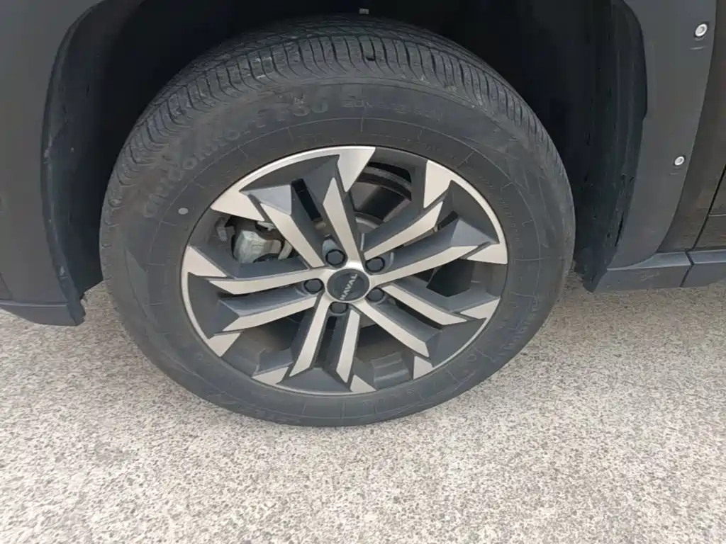 Haval Big Dog PLUS — миниатюра 23