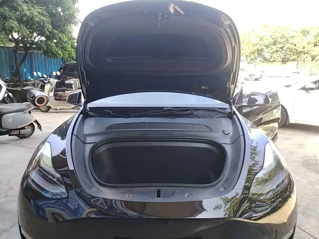 Tesla Model Y — миниатюра 20