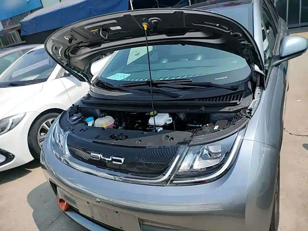 BYD Dolphin — миниатюра 20