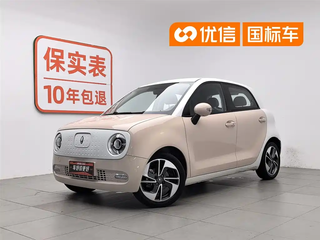 ORA Black Cat 2022 351km Comfort Type NMC