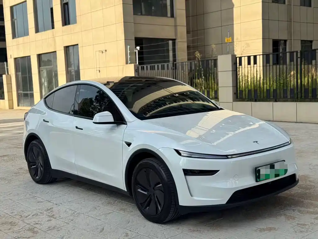 Tesla Model Y — миниатюра 3