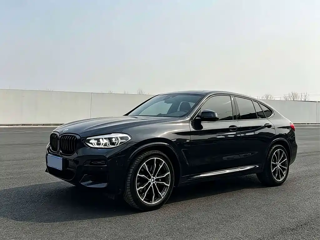 BMW X4 — миниатюра 3
