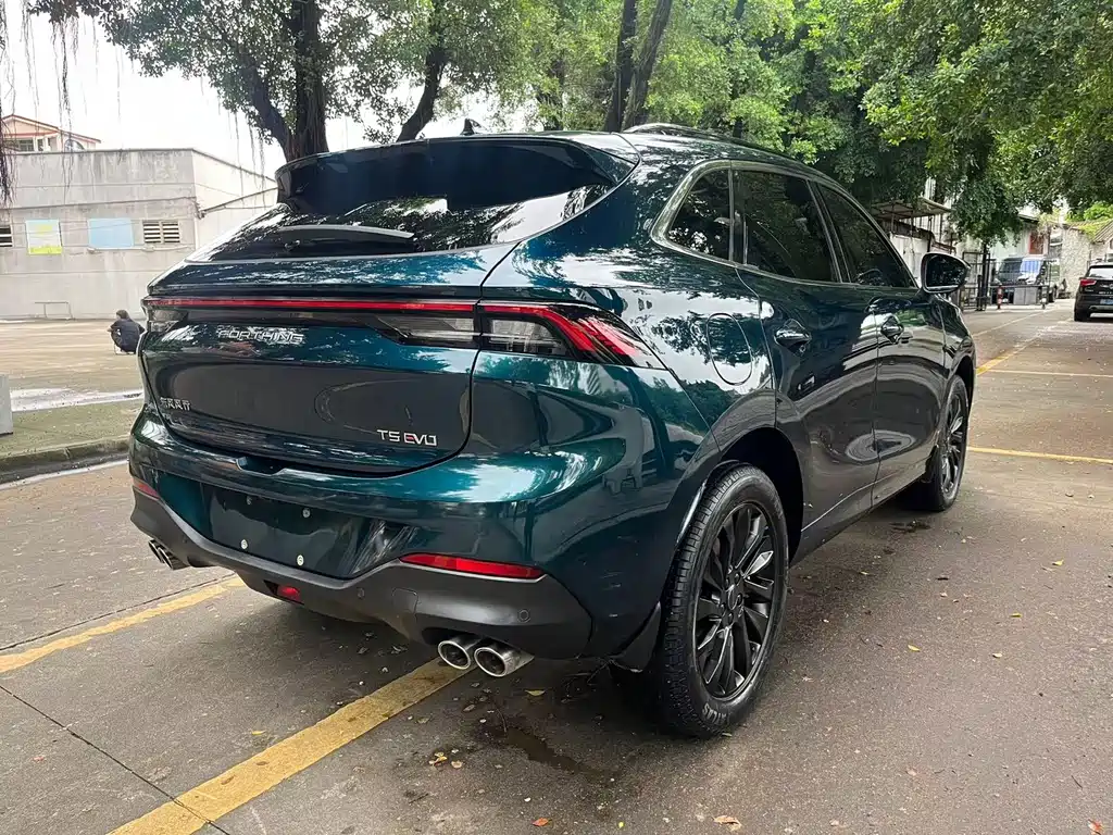 Fengxing Fengxing T5 EVO — миниатюра 6