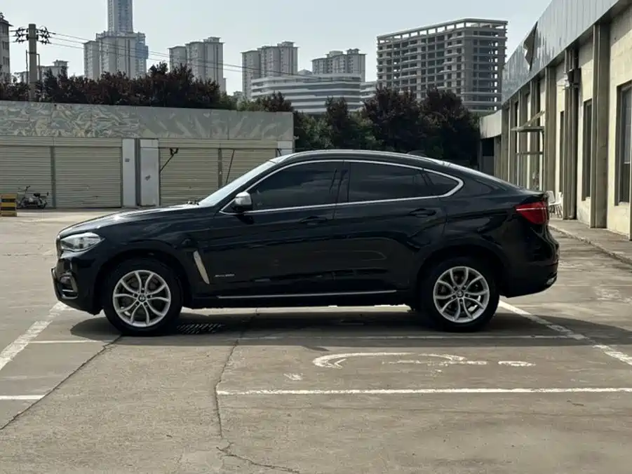 BMW X6 — миниатюра 9