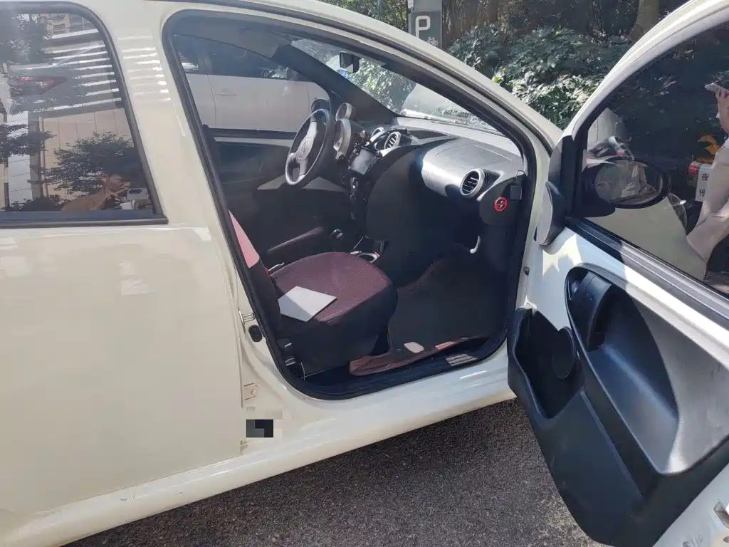 BYD F0 — миниатюра 19