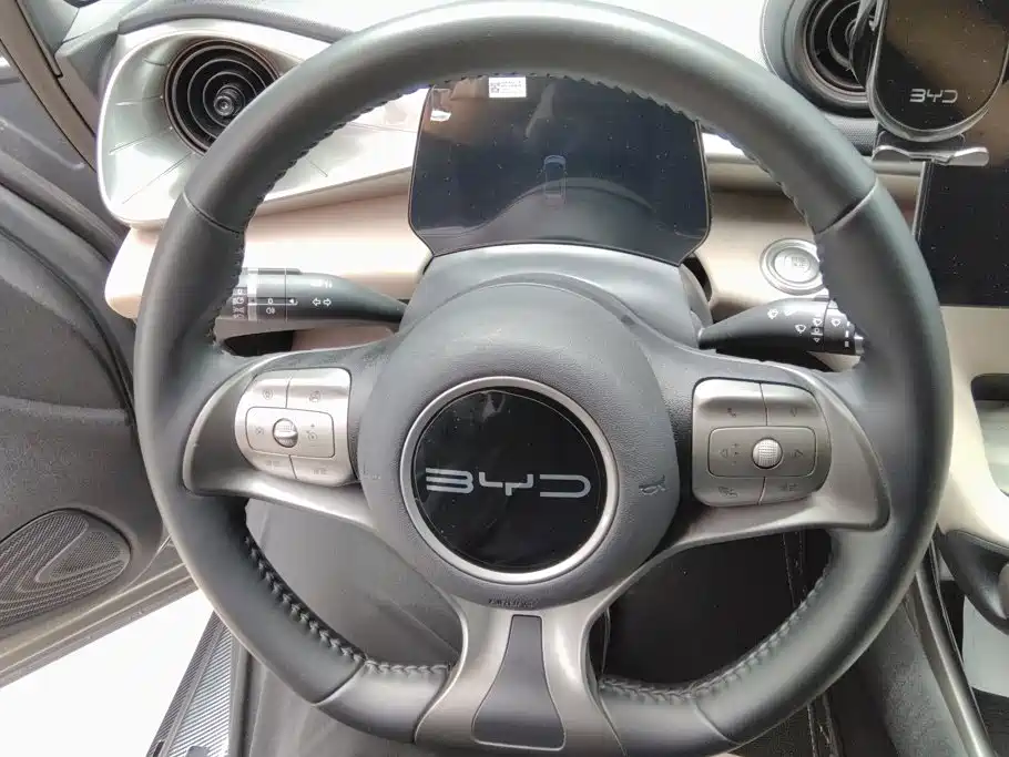 BYD Dolphin — миниатюра 15
