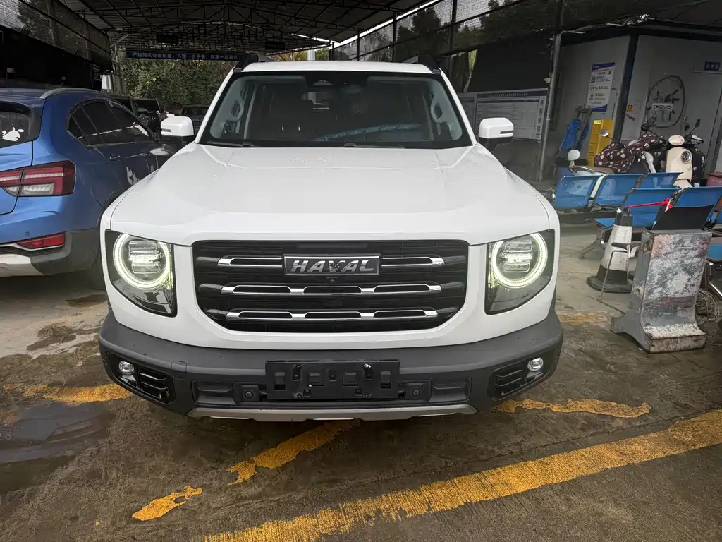 HAVAL BIG DOG